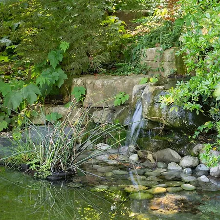 Вілла Park - Swiss *